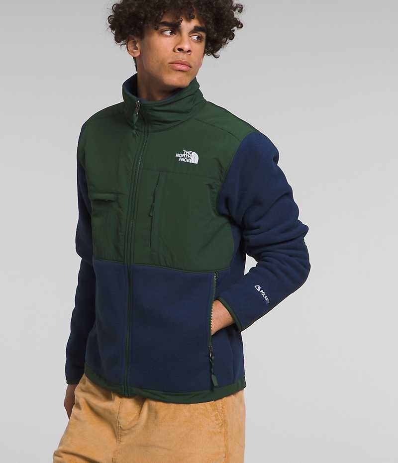 Vestes Polaires The North Face Denali Homme Bleu Marine Vert | PARIS DENOF
