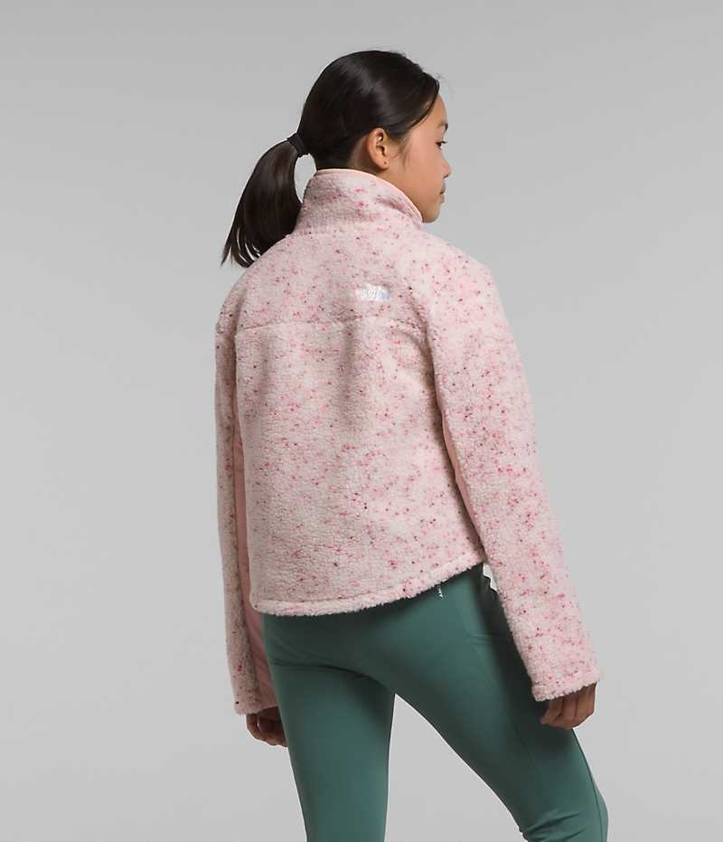 Vestes Polaires The North Face Fleece Mashup Fille Rose | FRANCE NORST