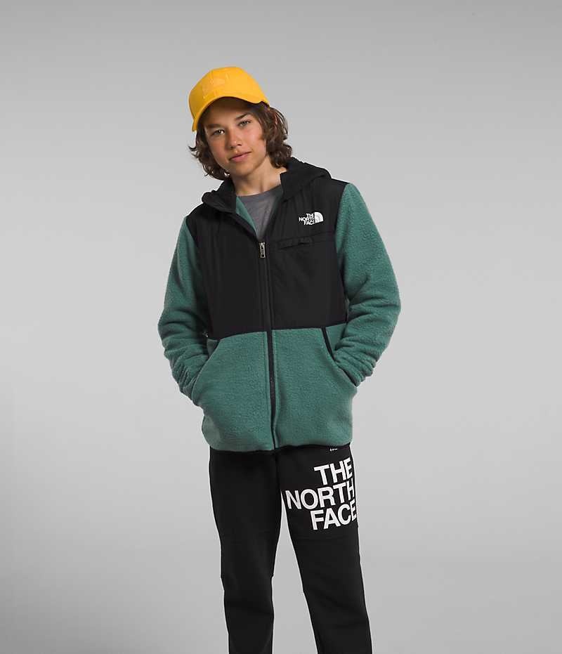 Vestes Polaires The North Face Forrest Full-Zip Encapuchonné Garcon Vert | FR OHRWD