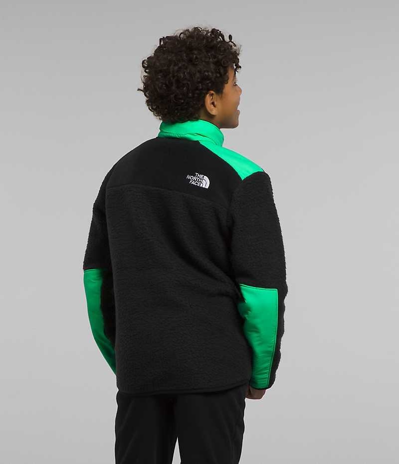 Vestes Polaires The North Face Forrest Mashup Garcon Noir Vert | FR EVQSP
