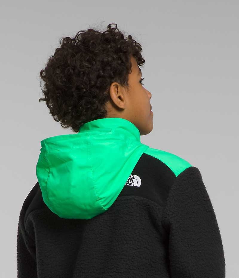 Vestes Polaires The North Face Forrest Mashup Garcon Noir Vert | FR EVQSP
