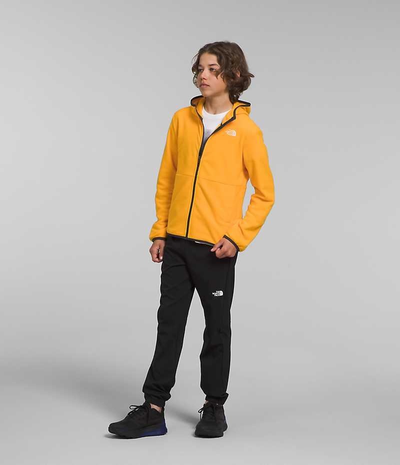 Vestes Polaires The North Face Glacier Full-Zip Encapuchonné Garcon Doré | FRANCE XIDYC