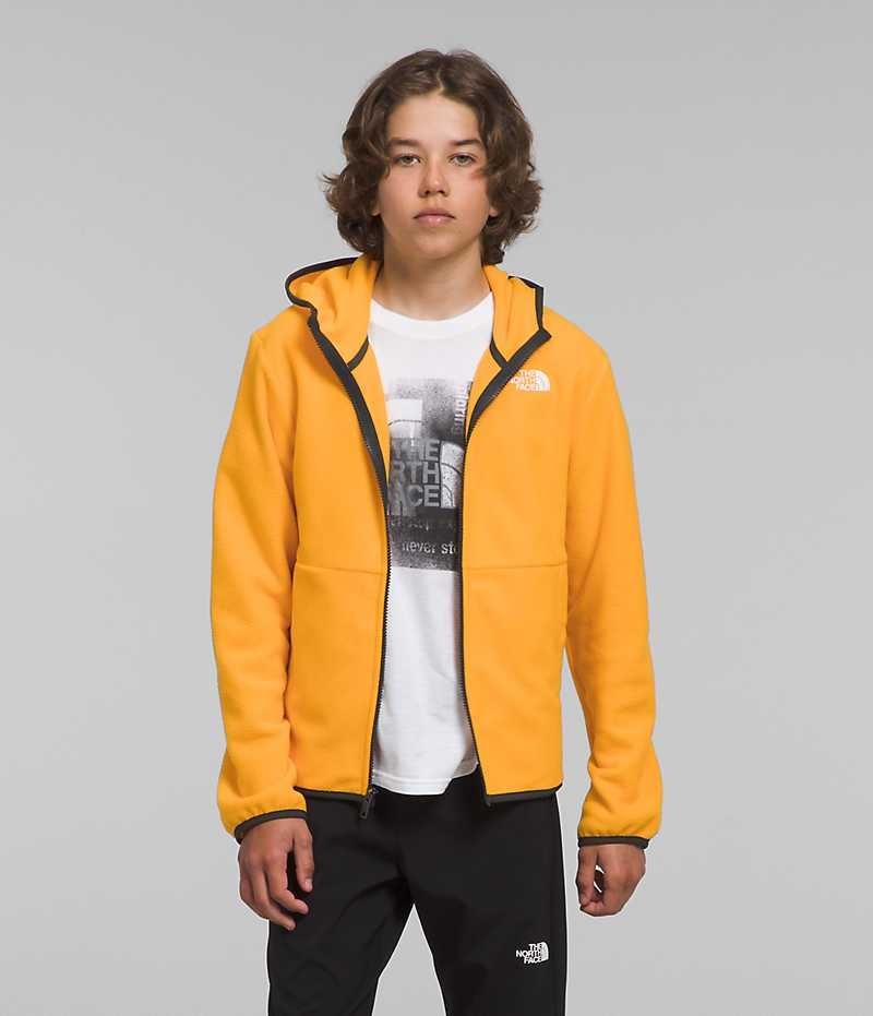 Vestes Polaires The North Face Glacier Full-Zip Encapuchonné Garcon Doré | FRANCE XIDYC