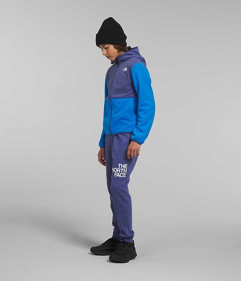 Vestes Polaires The North Face Glacier Full-Zip Encapuchonné Garcon Bleu | PARIS EKBYF