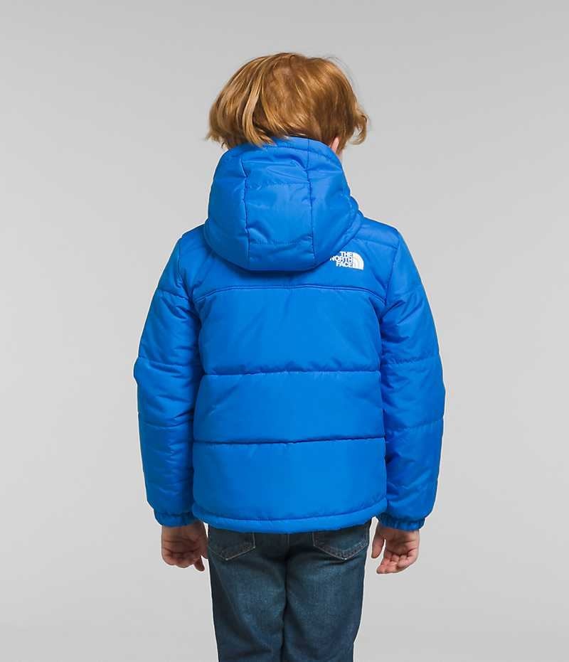 Vestes Polaires The North Face Reversible Mt Chimbo Full-Zip Encapuchonné Garcon Bleu | FRANCE LBRDN